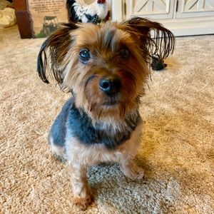 Meet your Posher, Traci